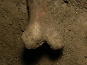 Archeologov objevili pi rekontrukci Klementina stedovk hroby.