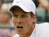 Tom Berdych