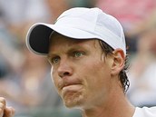 Tom Berdych 