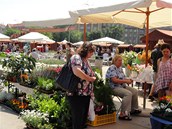 Farmářský trh na Kulaťáku (4/6/2011)