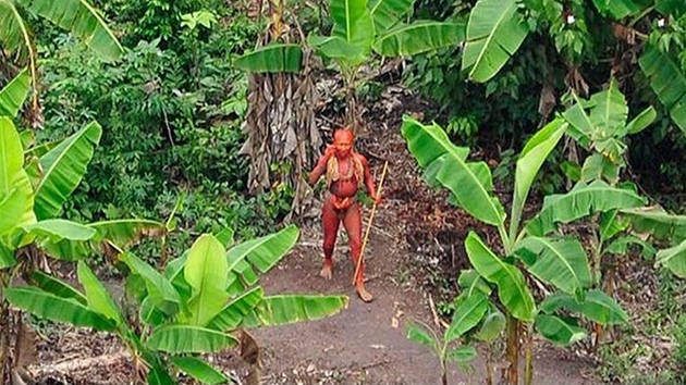 V amazonském pralese u brazilsko-peruánských hranic ijí neznámé kmeny indián