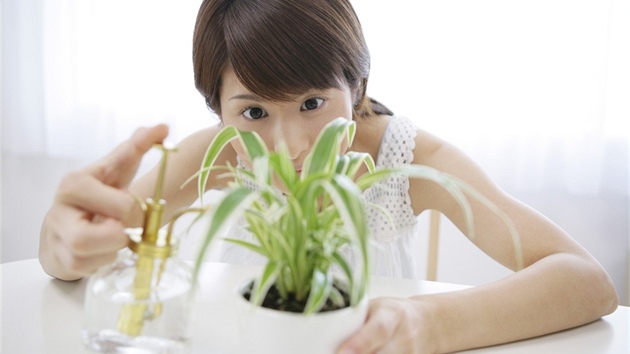 Domluvíte-li se s jinou milovnicí kvtin, e si navzájem své kvtiny o dovolené