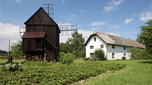 Zachovaný vtrný mlýn, který stojí ve Skalice na Perovsku. Ta se stala
