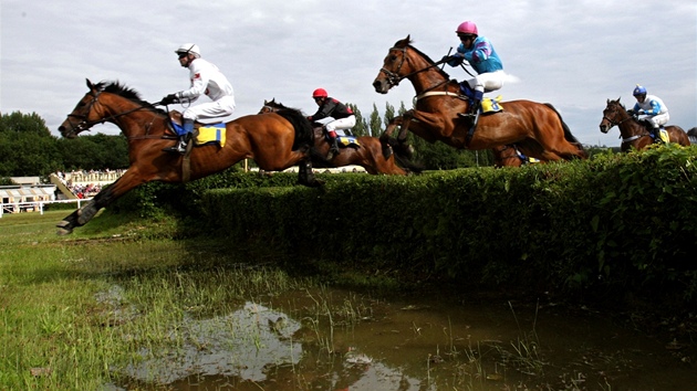 Dostihy ve Slu�ovicích. Steeplechase 4200 m.