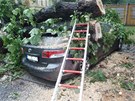 V areálu nemocnice v Opav spadl strom na stojící Toyotu Avensis. Zícení