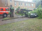 V areálu nemocnice v Opav spadl strom na stojící Toyotu Avensis. Zícení