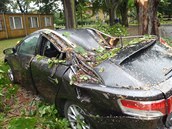 V arelu nemocnice v Opav spadl strom na stojc Toyotu Avensis. Zcen
