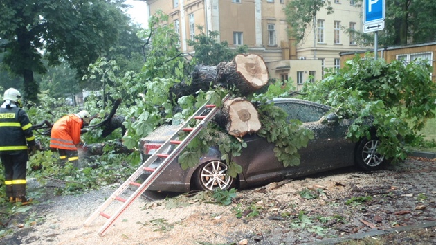 V areálu nemocnice v Opav spadl strom na stojící Toyotu Avensis. Zícení