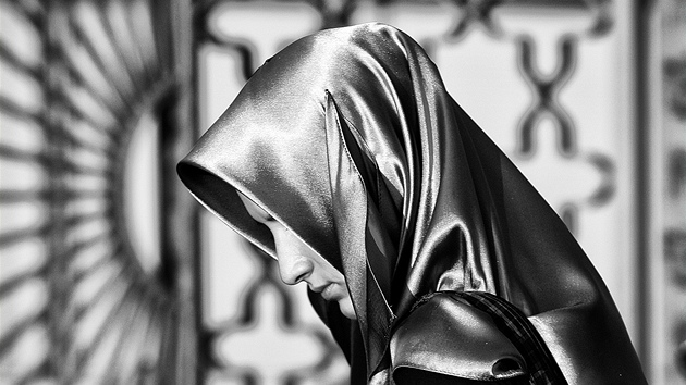 Rudolf Havlík, Bez názvu