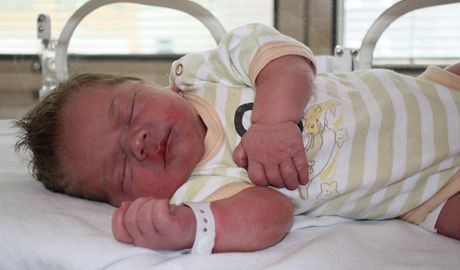 erstv narozenou holiku objevili v nedli v babyboxu zdravotníci umperské