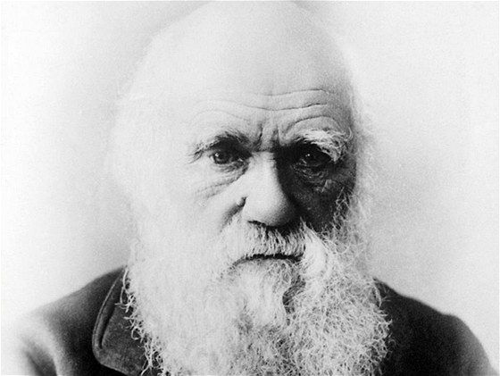 Pokud jde o majetek, nechal Charles Darwin mnoho svých souasník daleko za sebou