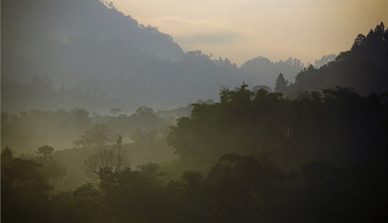 Alta Verapaz, Guatemala