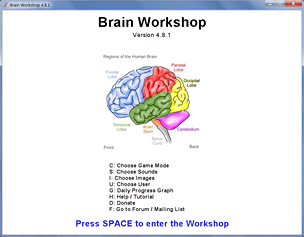 Brain Workshop