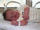 erstv narozenou holiku objevili v nedli v babyboxu zdravotníci umperské