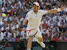 Andy Murray v semifinále Wimbledonu. 
