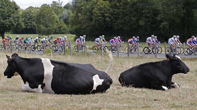 Mark Cavendish