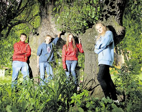 Unikátní srostlé jasany pihlásili do soute áci chýnovské základní koly. 