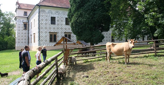 Minizoo domácích zvířat na zámku v Doudlebách nad Orlicí.