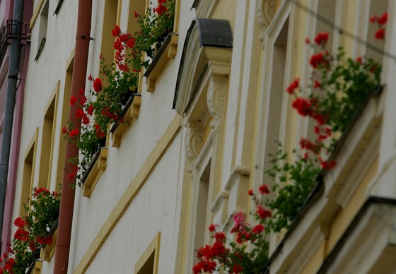 Praha 1 chce vidět v oknech květinovou výzdobu. (Ilustrační snímek)
