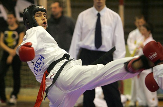 Milan Zach se vnuje taekwondu i kickboxu.