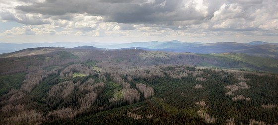 Letecký snímek Poledníku na umav. Svtlé oblasti lesa jsou zasaeny krovcem. 