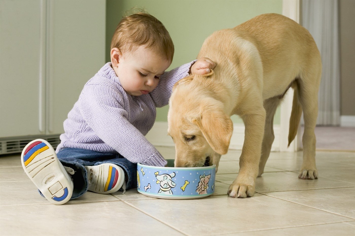 Pets vs pets. Биогельминтозы у детей. Гельминтозы картинки для детей.