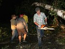 Hasii a místní lidé odstraují stromy, které ve stedu veer pi silné bouce