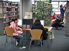 Internet v knihovn v Liberci (ilustraní snímek)