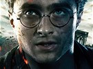 Z filmu Harry Potter a Relikvie smrti - ást 2