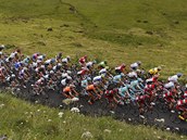Cyklistick peloton v prbhu 9. etapy Tour de France