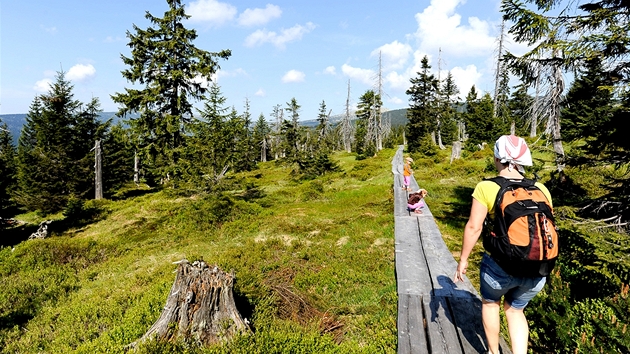 Povalový chodník na za�átku trasy