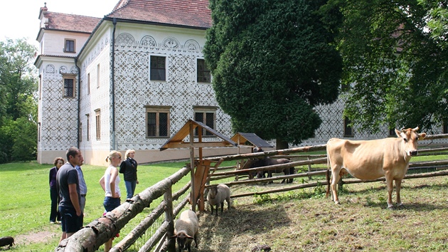 Minizoo domácích zvíat na zámku v Doudlebách nad Orlicí.