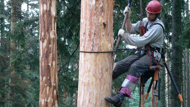 Pi odkorování strom na Smrin pomáhá i student Petr Elster z Daic. 