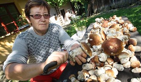 Podobný úlovek by kteréhokoliv soutícího pasoval do role favorita mistrovství. Ilustraní foto