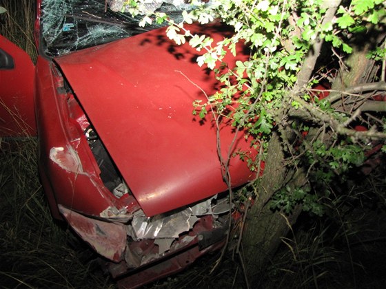 Renault 19 skonil po stetu s komi mimo silnici spojující  Ostravu a