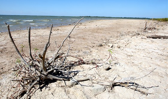 Nkterá jezera na severovýchod Texasu kvli dlouhotrvajícímu suchu a horku trápí nedostatek vody. Jezero Cooper mlo u v ervenci o dva metry mén ne za normálního stavu (25. ervence 2011).