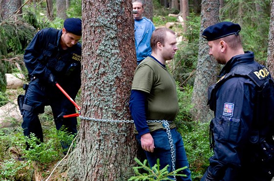 Policisté zasahují proti aktivistm, kteí na umav blokují kácení strom