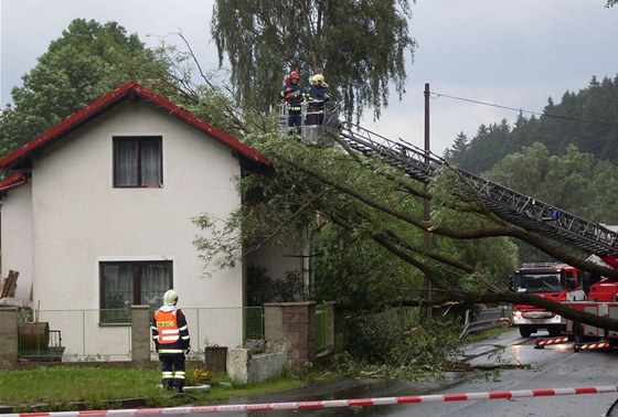 Na rodinný dm v Horním áru spadl vzrostlý strom. (20. ervence 2011)