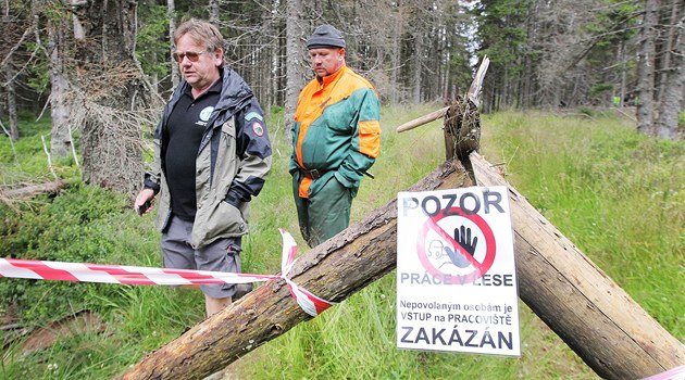 Proti aktivist�m zasáhla na �umav� loni policie. Jestli n�kdo zasáhne proti praktikám správy parku, na které poukázal utajovaný audit, ale je�t� jasné není. (Ilustra�ní foto)