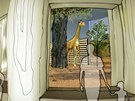 Vizualizace projektu jihlavské zahrady nazvaného Zoo pti kontinent. Mezi...