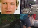 Anders Behring Breivik se piznal k pumovému útoku v centru Osla i ke stelb