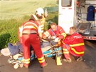 Pi nehod u obce Vlí Doly zemel spolujezdec. idika se ván zranila.
