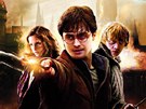 Harry Potter a Relikvie smrti 2