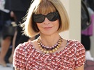 Slunení brýle jsou tém poznávacím znamením Anny Wintourové.