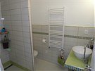 Zelená koupelna se sprchovým koutem a toaletou