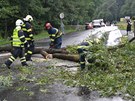 Na rodinný dm v Horním áru spadl vzrostlý strom. (20. ervence 2011)