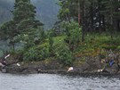 Obti stelby na ostrov Utoya leí na behu. Podle policie zahynulo nejmén