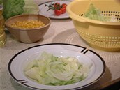 Na dno hlubokého talíře či misky vložte nejprve kousky ledového salátu. 