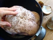 Sůl a kmín jsou jediné ingredience, které ke kachně přidáte.