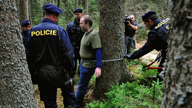 Policisté na umav vyvádli aktivisty z míst, kde devorubci káceli stromy napadené krovcem.